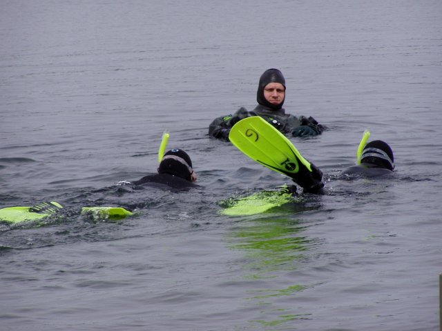 P1010007.jpg