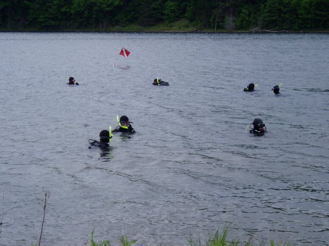 Diving2004160.jpg