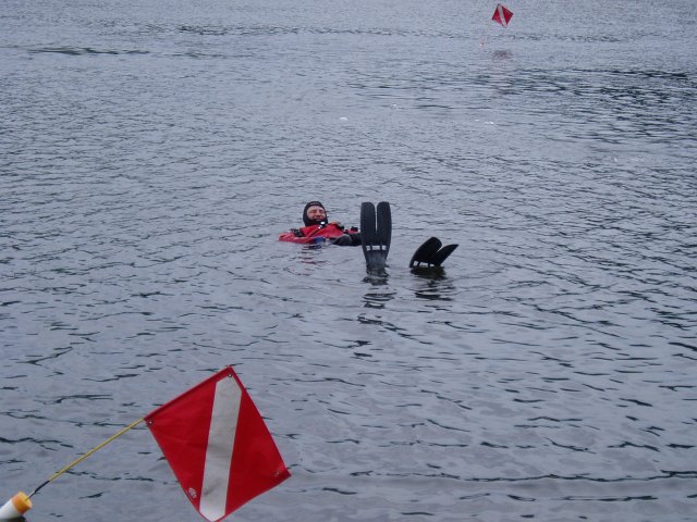 Diving2004164.jpg