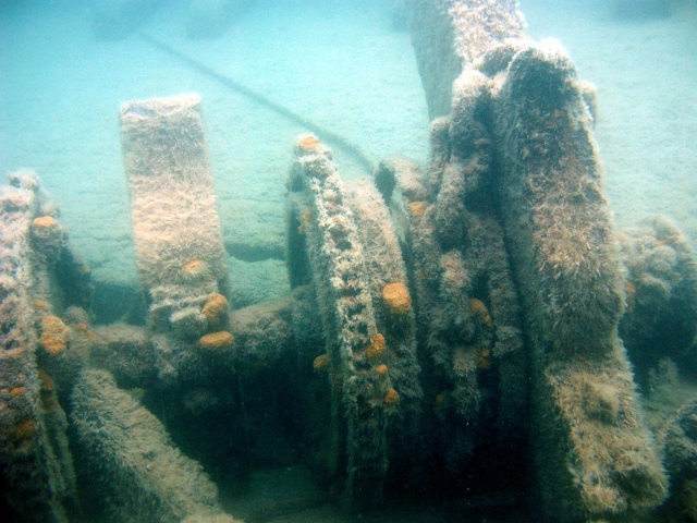 Z_isleroyale082904.jpg