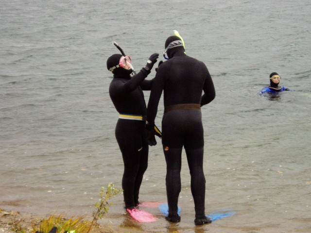 PA230011.JPG