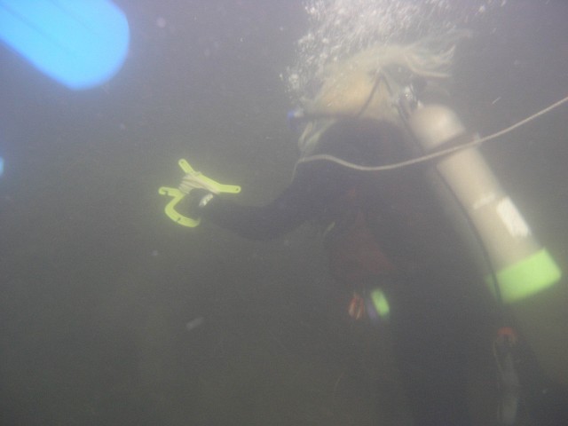 PA312148.jpg