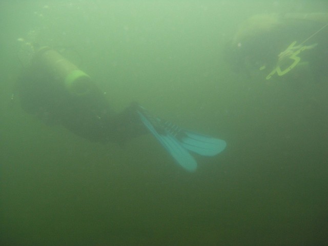 PA312152.jpg