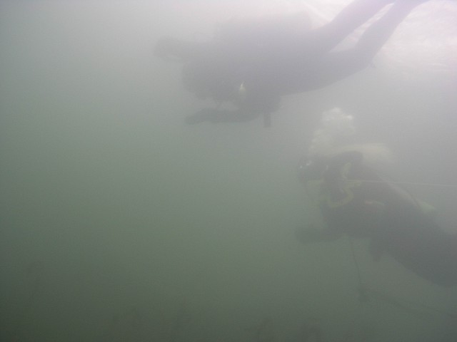 PA312156.jpg