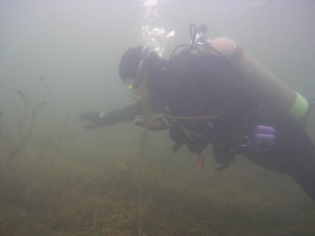PA312159.jpg