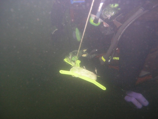 PA312171.jpg