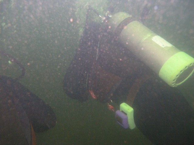 PA312176.jpg