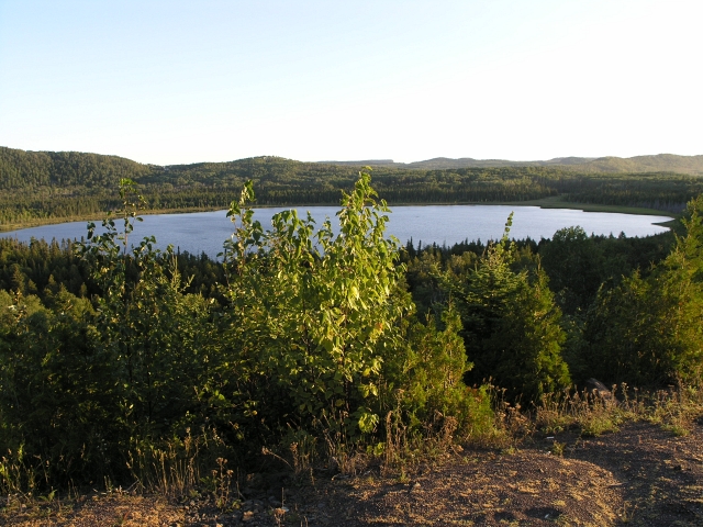 P8220858.JPG