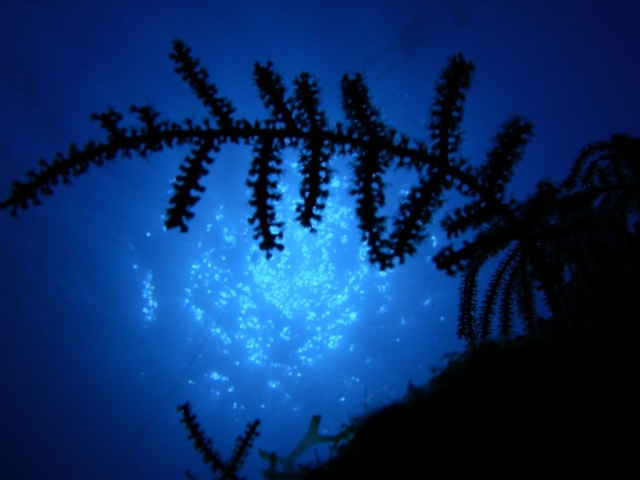 DSCN0467.JPG