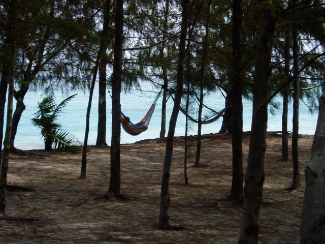 P5140007_bob.jpg