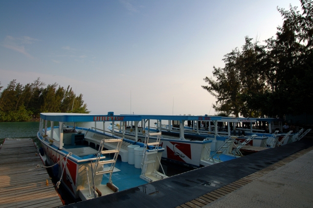 Roatan_D2_DSC_0115_E1.jpg