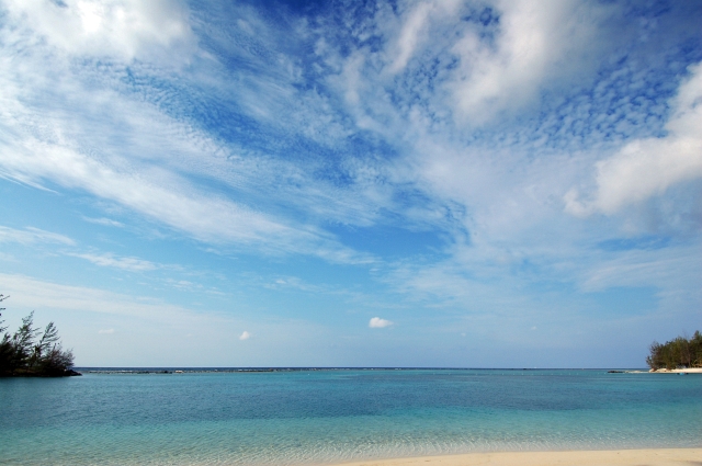Roatan_DSC_0095_1.jpg