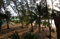 Roatan_DSC_0058_1