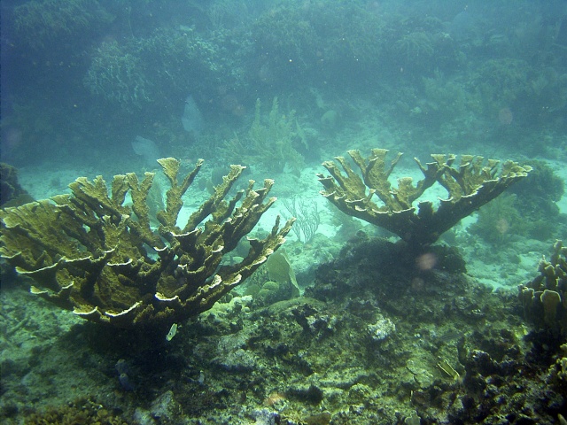 JONES_R0012975_1.jpg