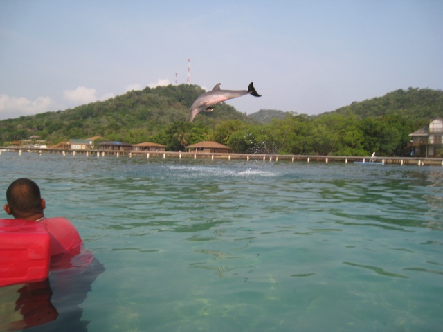 SETH_IMG_0200.JPG